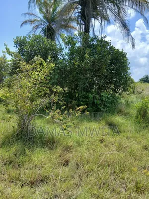 10 Acres for Sale at Dondo Mkuranga