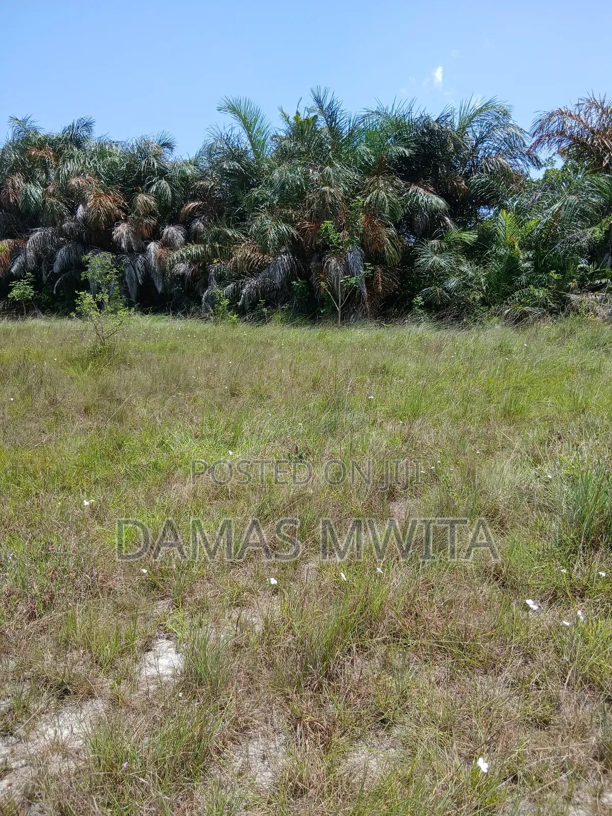 10 Acres for Sale at Dondo Mkuranga