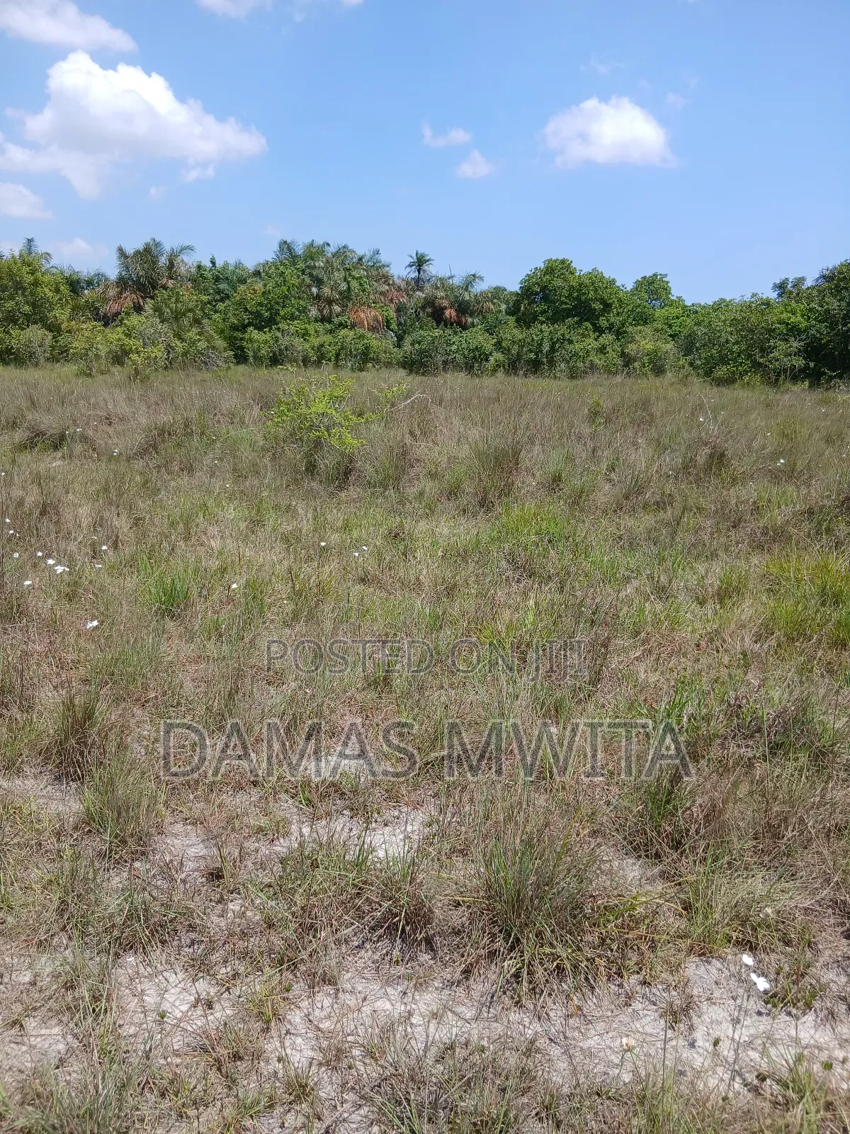 10 Acres for Sale at Dondo Mkuranga