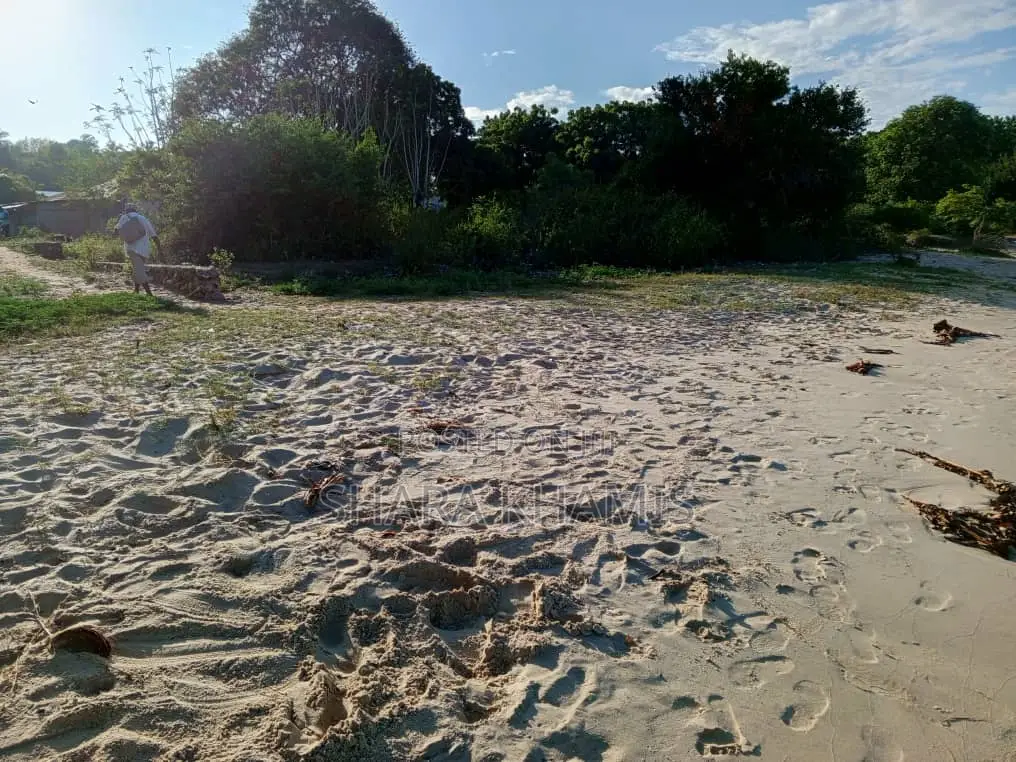 Plot at Fukuchani Near Beac on Sale