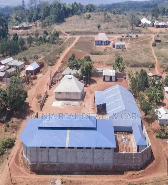 Maize Flour Factory for Sale in Mbinga Ruvuma