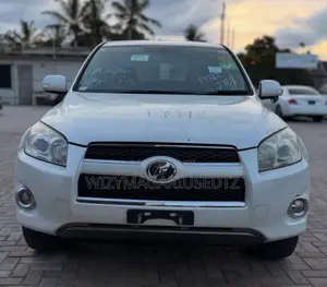 Toyota RAV4 2009 Pearl