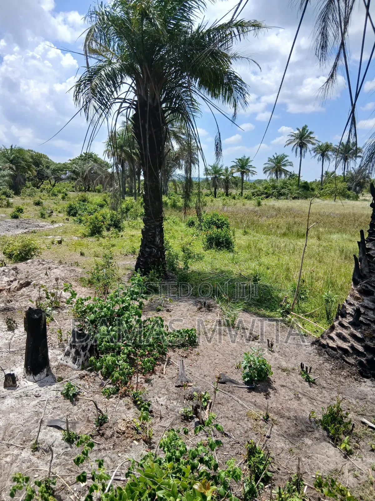Mega Investment Opportunity at Dondo Mkuranga