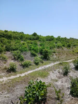 Mega Investment Opportunity at Dondo Mkuranga