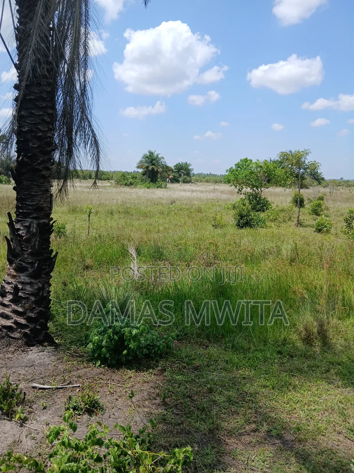 Mega Investment Opportunity at Dondo Mkuranga