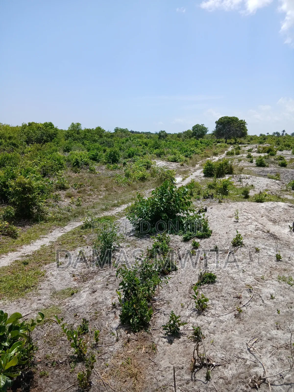 Mega Investment Opportunity at Dondo Mkuranga