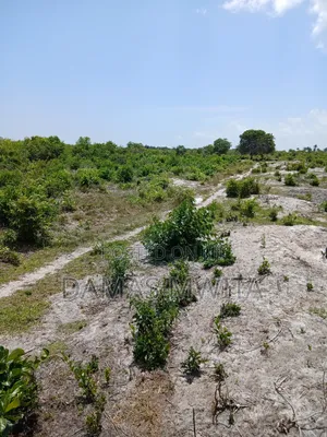 Mega Investment Opportunity at Dondo Mkuranga