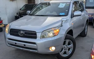Toyota RAV4 2007 Silver