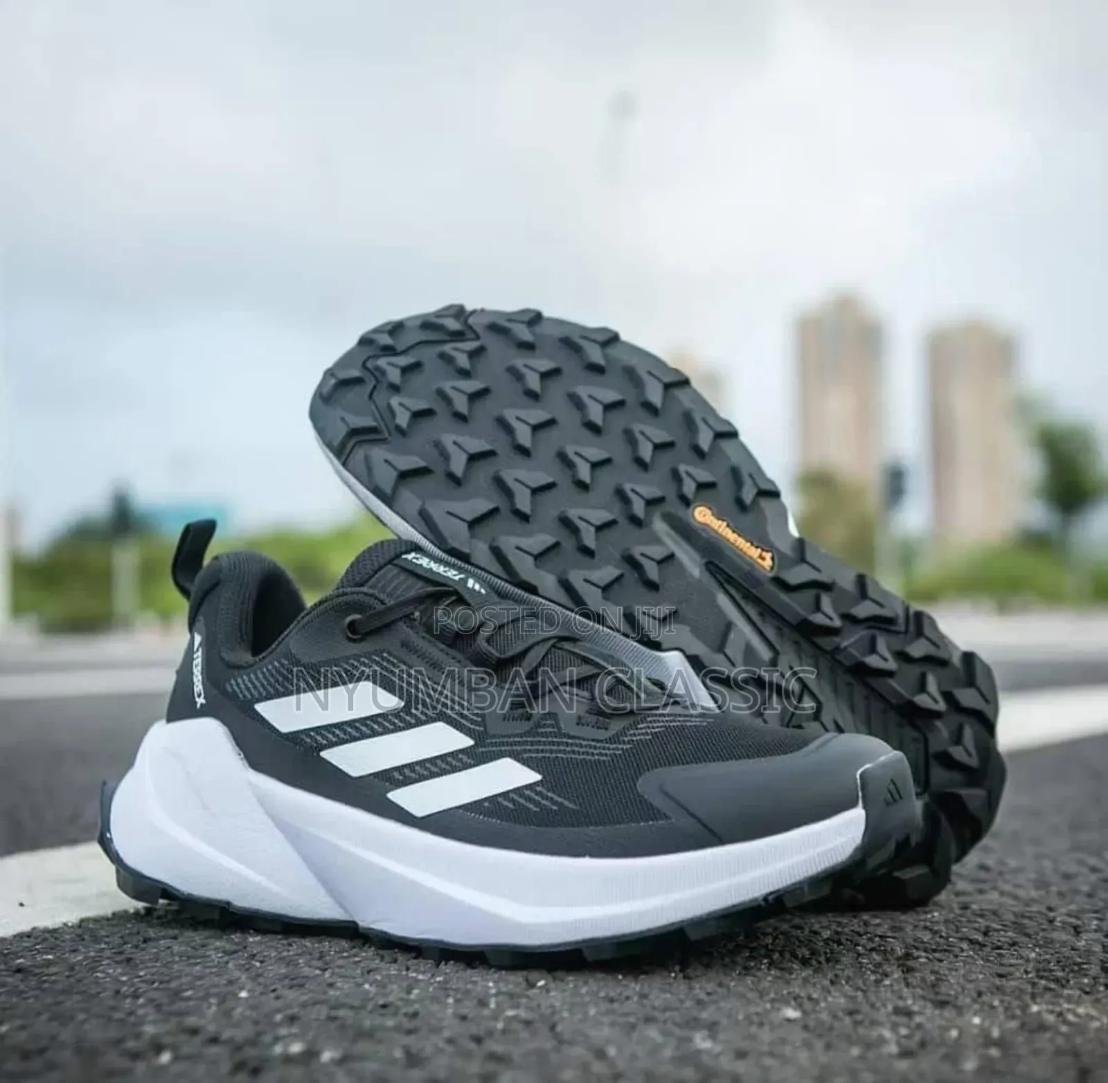 Adidas Terrex Shoes