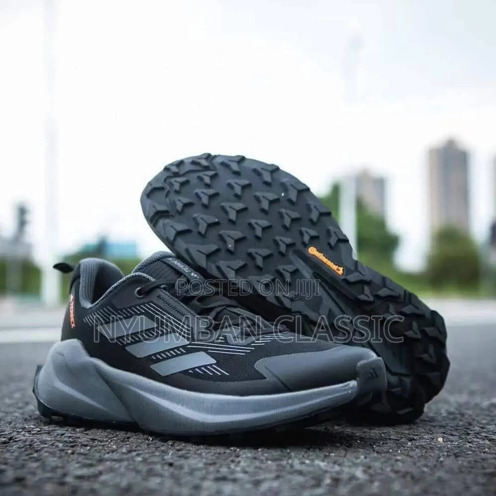 Adidas Terrex Shoes