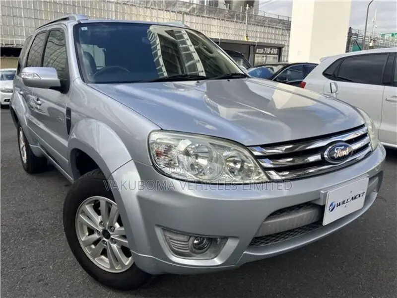 Ford Escape 2009 Silver