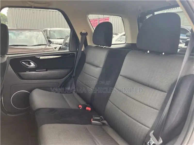 Ford Escape 2009 Silver