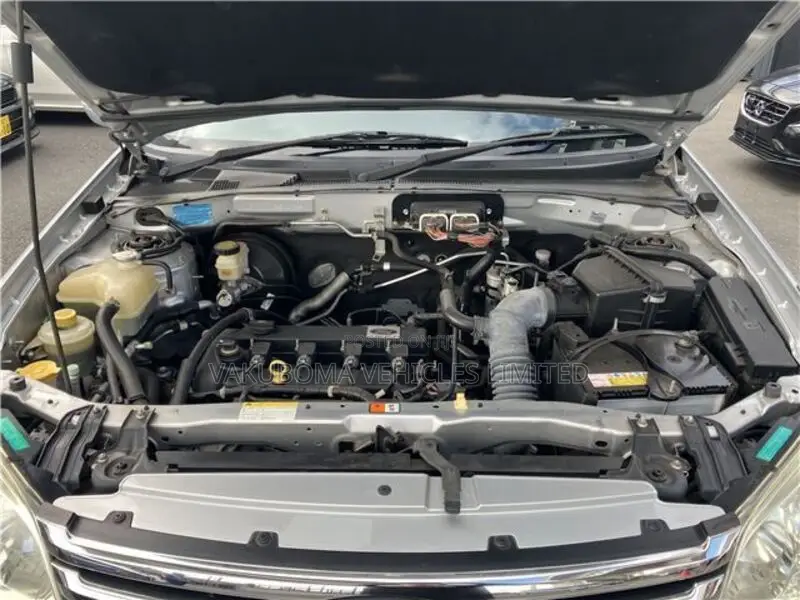 Ford Escape 2009 Silver