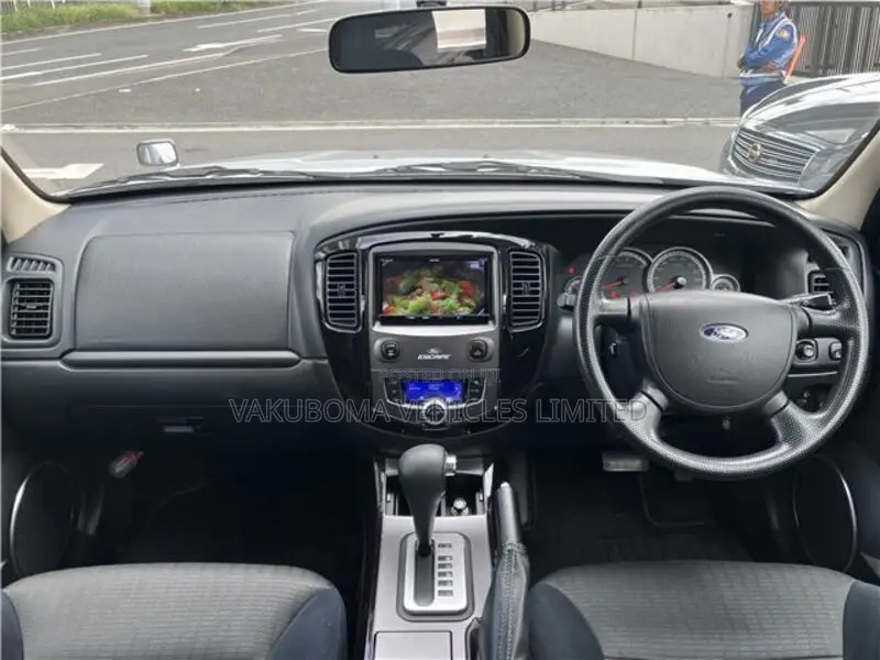 Ford Escape 2009 Silver
