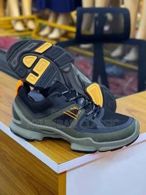 Ecco Biom Shoes