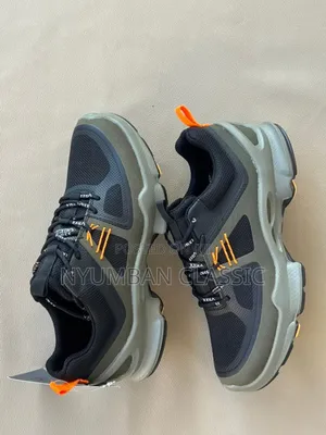 Ecco Biom Shoes