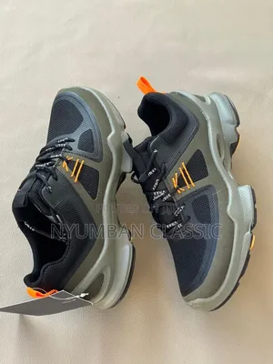 Ecco Biom Shoes