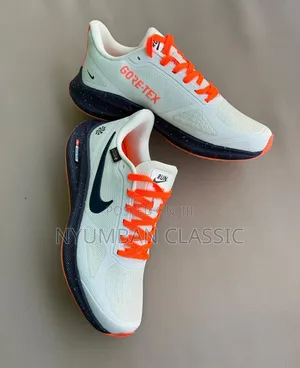 Nike Vemero Shoes