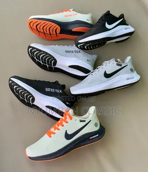 Nike Vemero Shoes