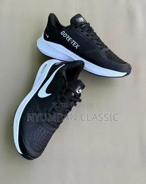 Nike Vemero Shoes