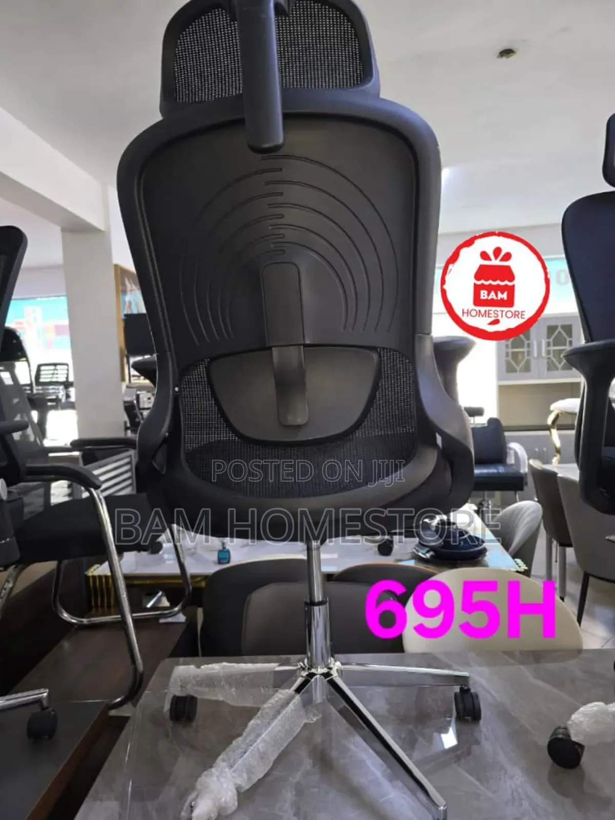 Executive Office Chair (Model 695h)