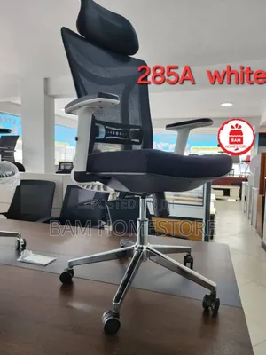 Luxury Ergonomic Office Chair (White Accents)