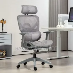 Ergonomic Lumbar Support Padded Seat | Model S40