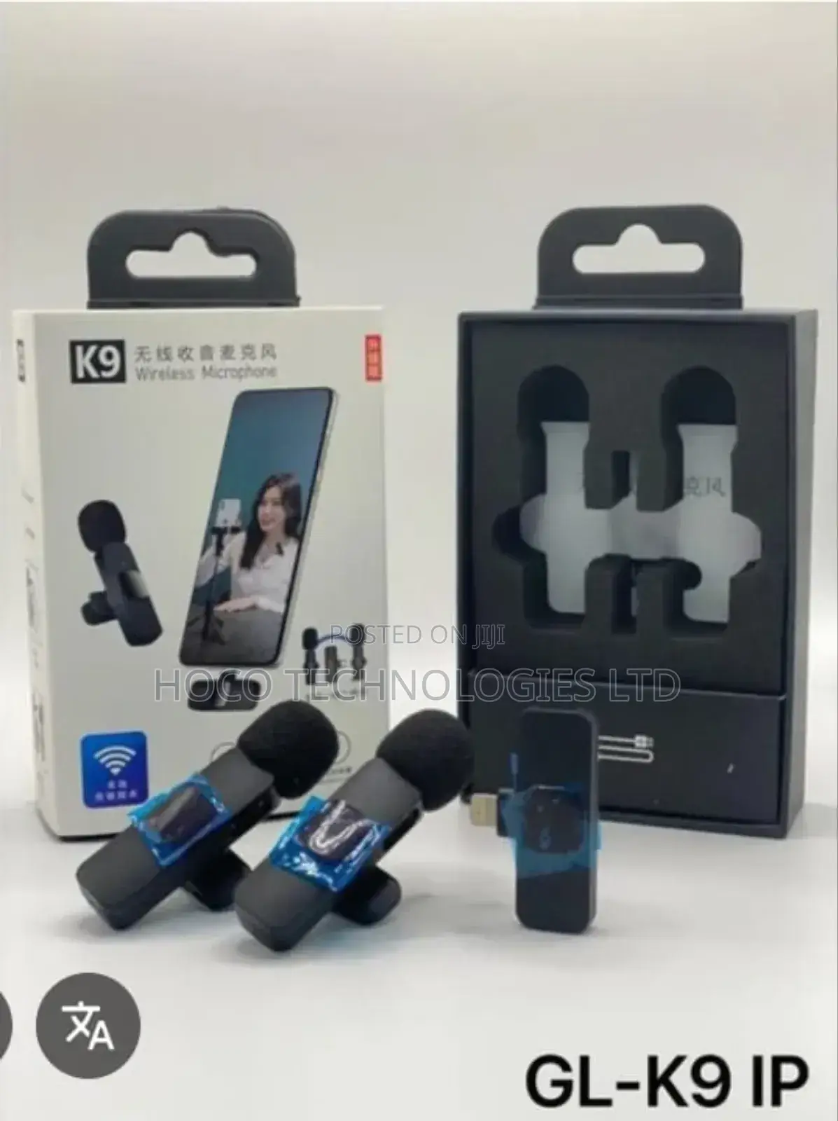 Wireless Mic
