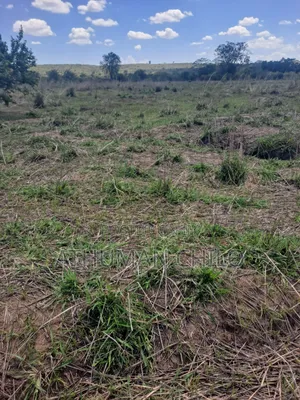 Shamba Linauzwa