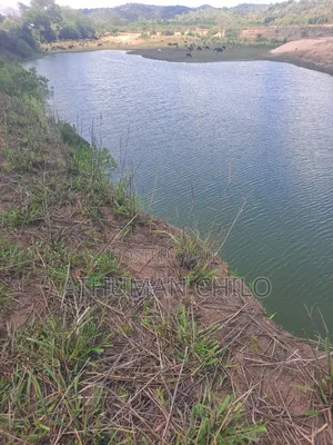 Shamba Linauzwa
