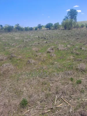 Shamba Linauzwa