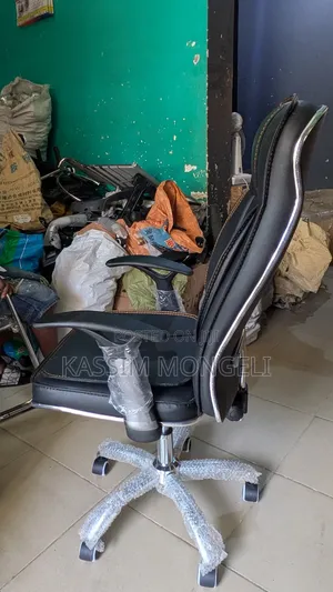 Ergonomic Chairs