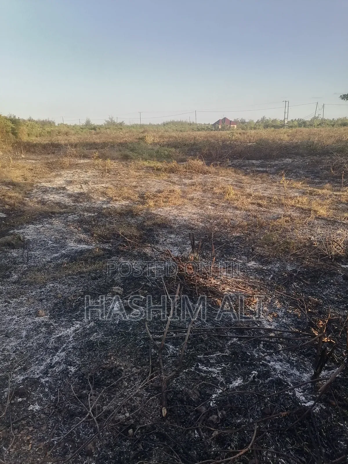 Land for Sale in Bwejuu Zanzibar