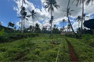Kiboje Farmland for Sale