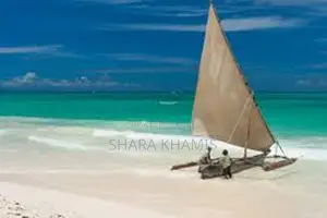 Bwejuu East Coast Zanzibar on Sale