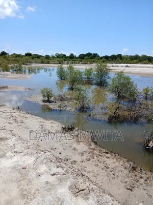 Premium 15,000 SQM Beach Plot for Sale