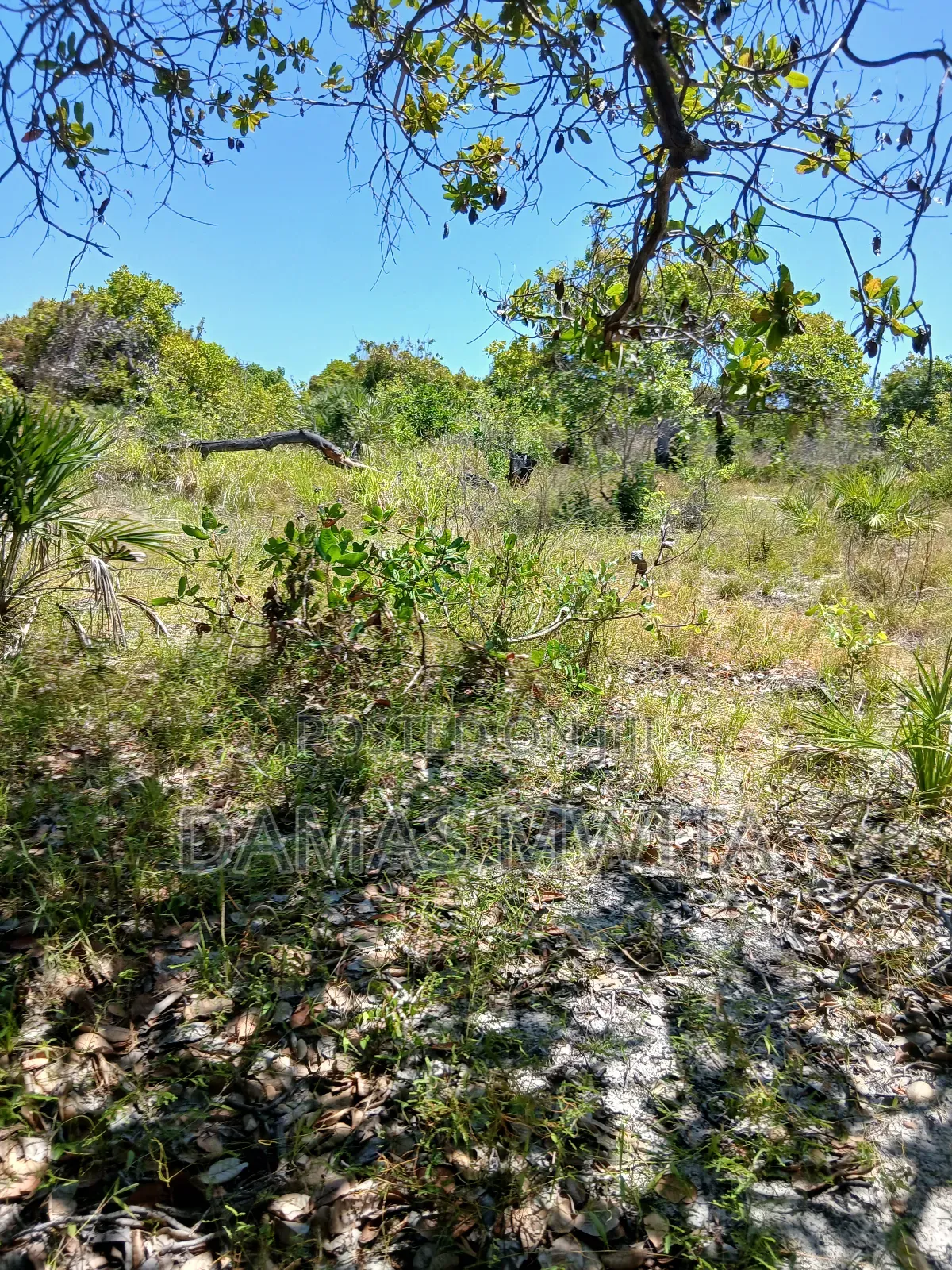 Premium 15,000 SQM Beach Plot for Sale