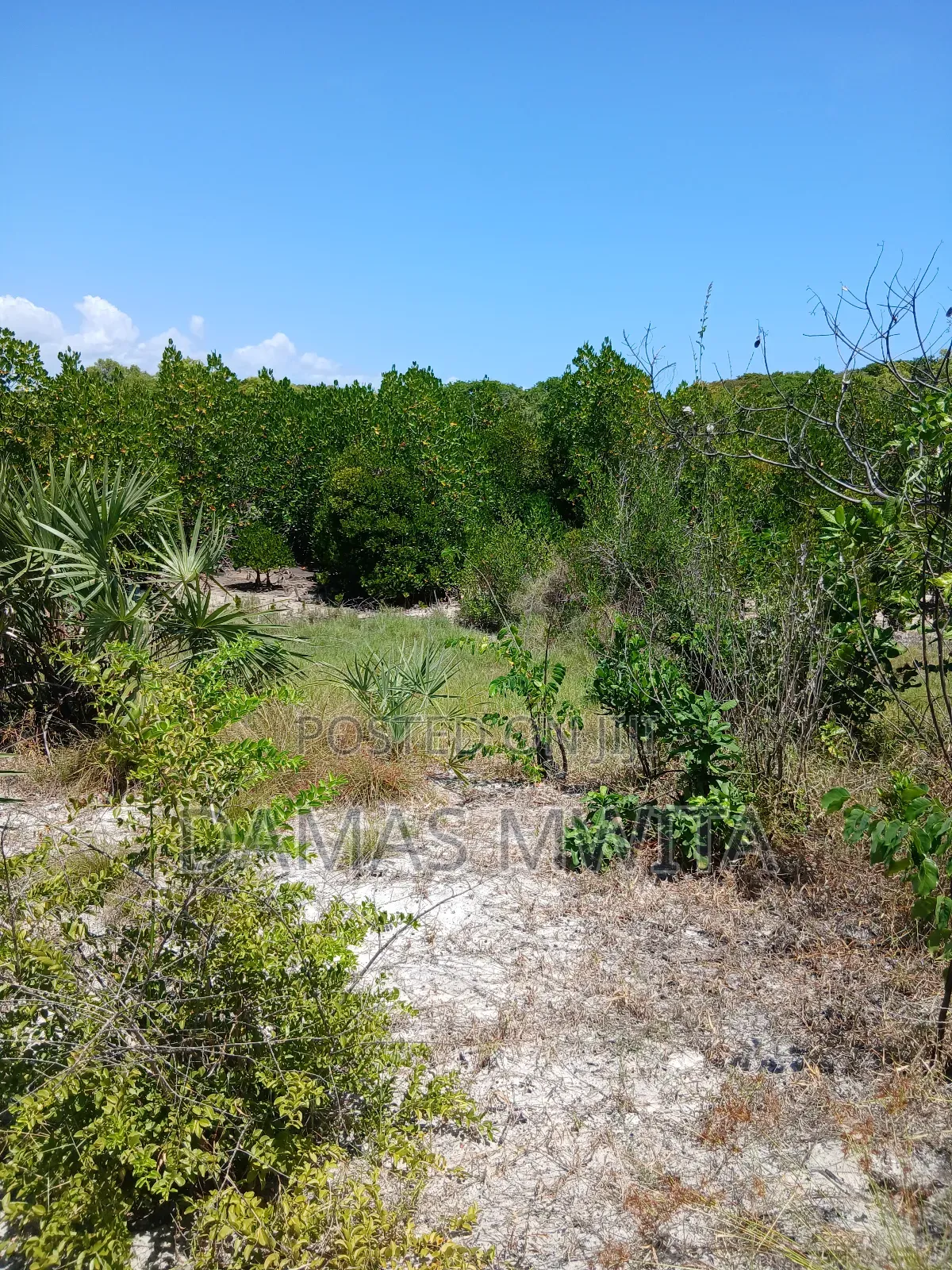Premium 15,000 SQM Beach Plot for Sale