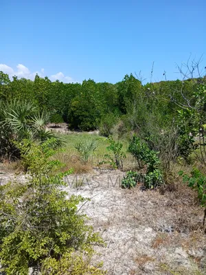 Premium 15,000 SQM Beach Plot for Sale