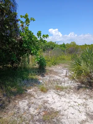 Premium 15,000 SQM Beach Plot for Sale
