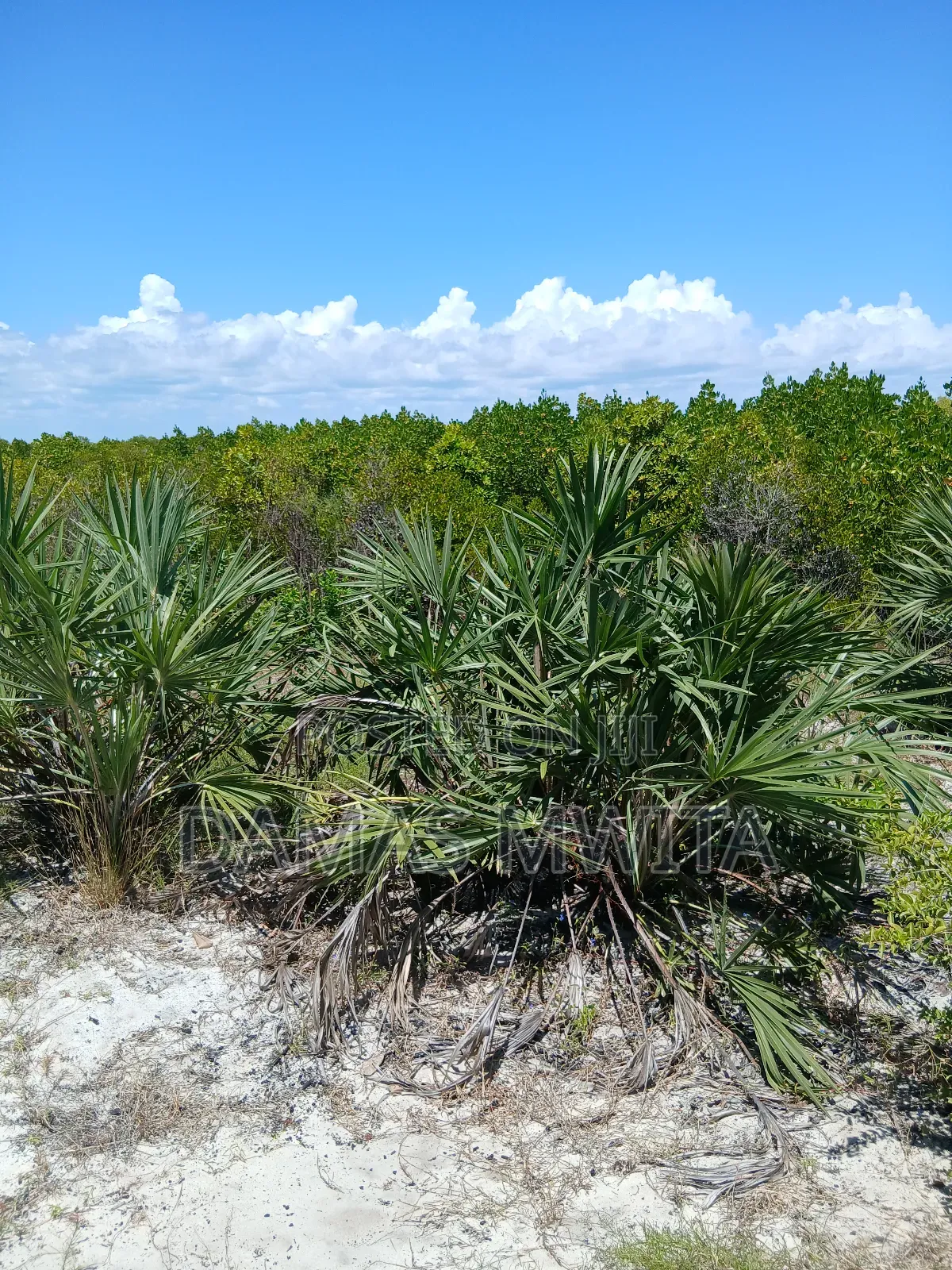 Premium 15,000 SQM Beach Plot for Sale