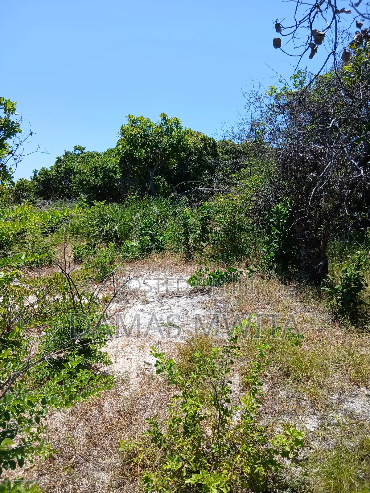 Premium 15,000 SQM Beach Plot for Sale