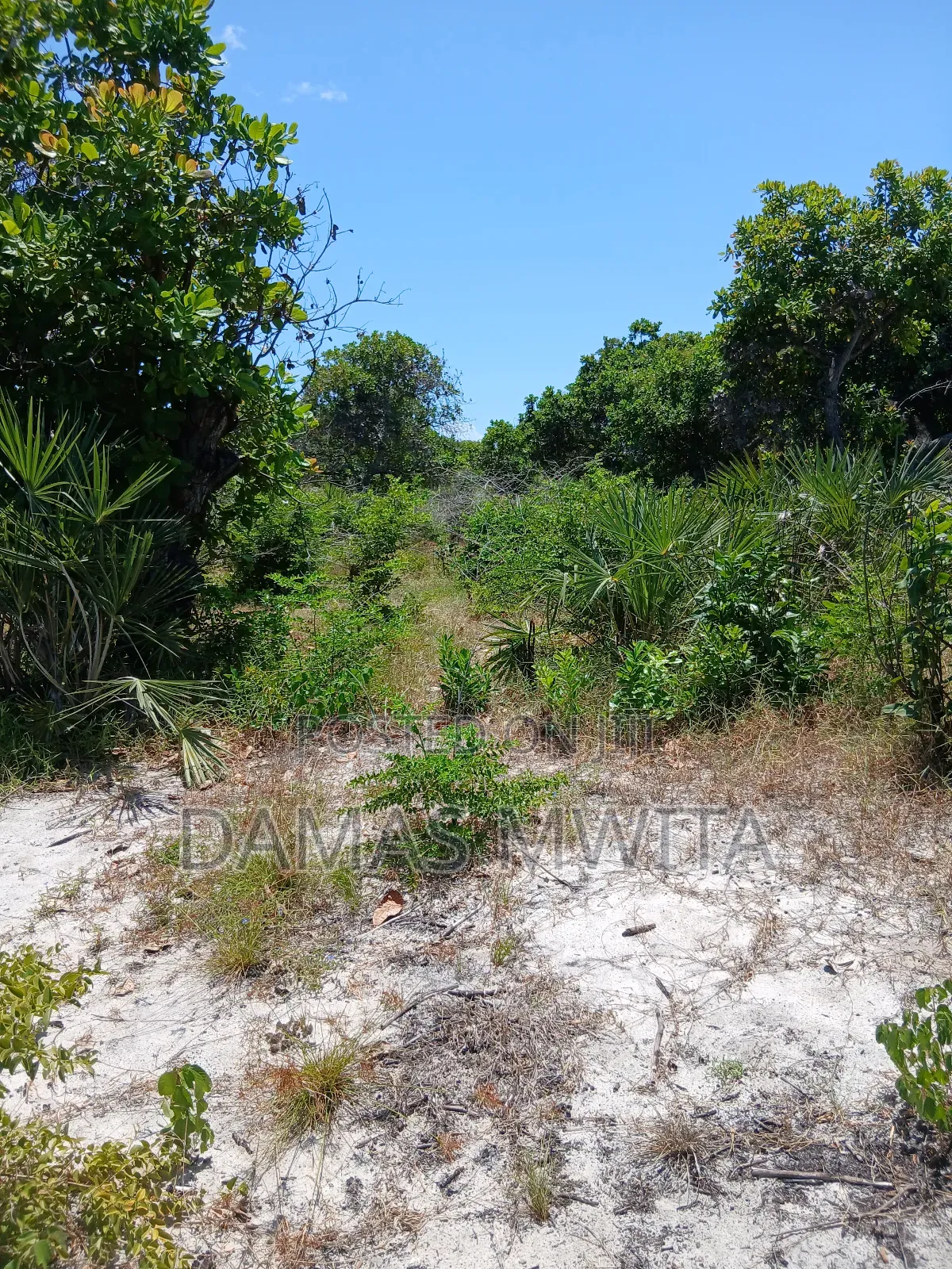 Premium 15,000 SQM Beach Plot for Sale