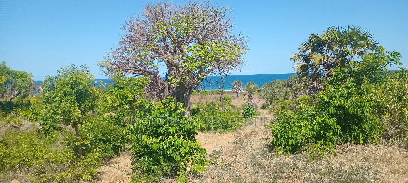 Beach Plot at Mbutu Kigamboni