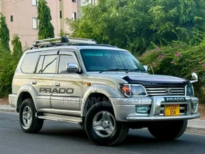 Toyota Land Cruiser Prado 2002 Silver