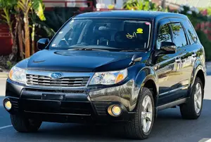 Subaru Forester 2009 Gray