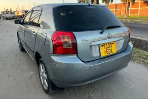 Toyota Corolla RunX 2003 Gray