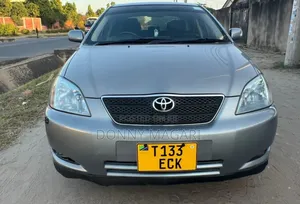Toyota Corolla RunX 2003 Gray