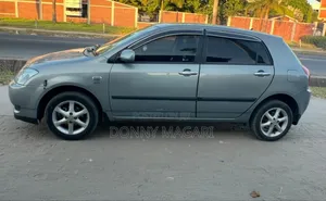 Toyota Corolla RunX 2003 Gray