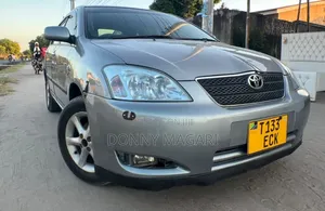 Toyota Corolla RunX 2003 Gray
